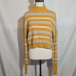Arizona Jean Company Mustard and Gray Striped Turtleneck Sweater.